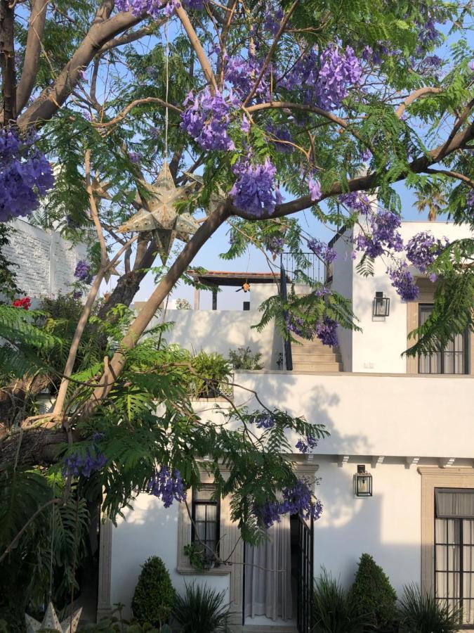 Casa Lani Luxury B&B San Miguel de Allende Eksteriør billede