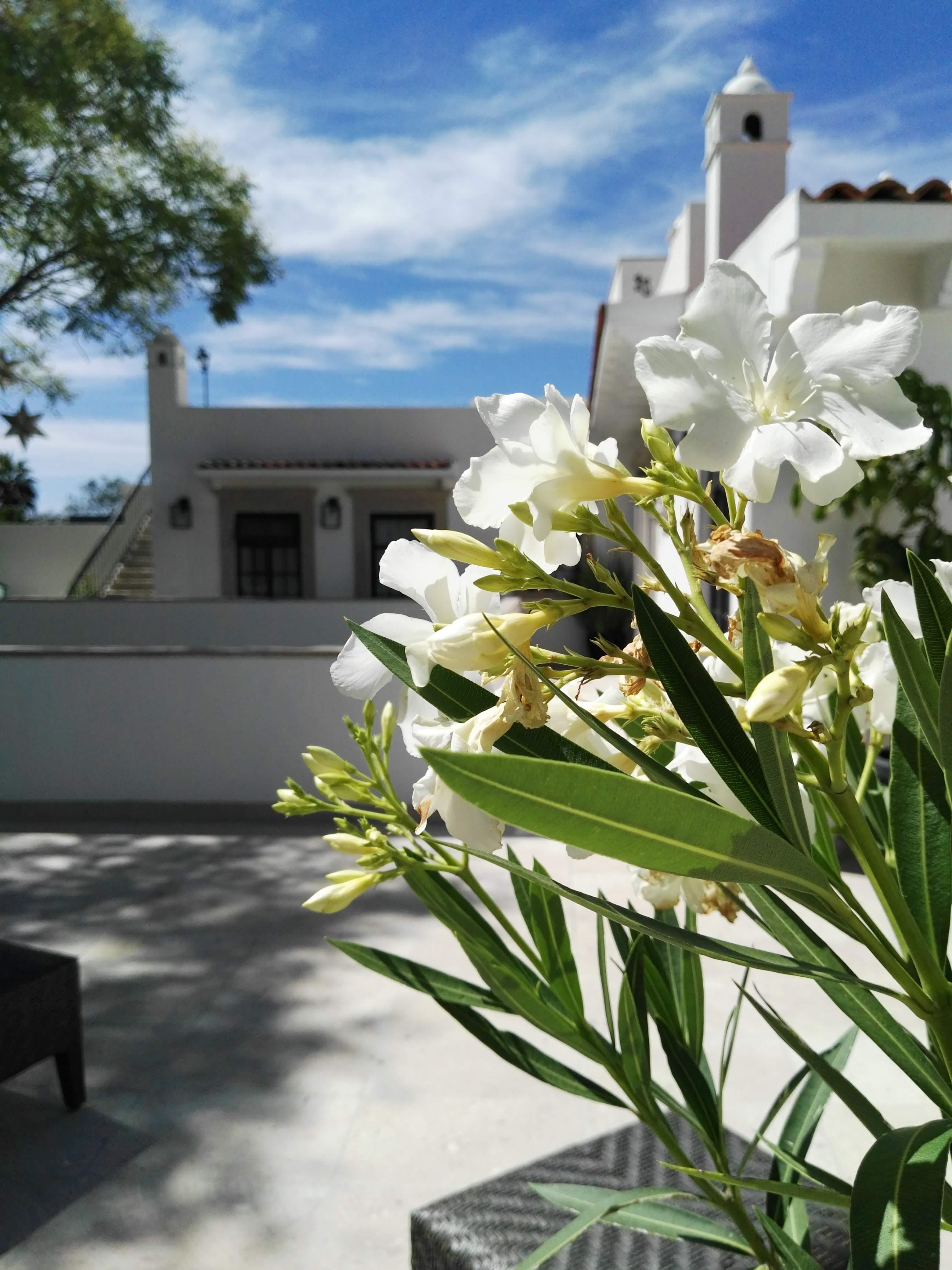 Casa Lani Luxury B&B San Miguel de Allende Eksteriør billede