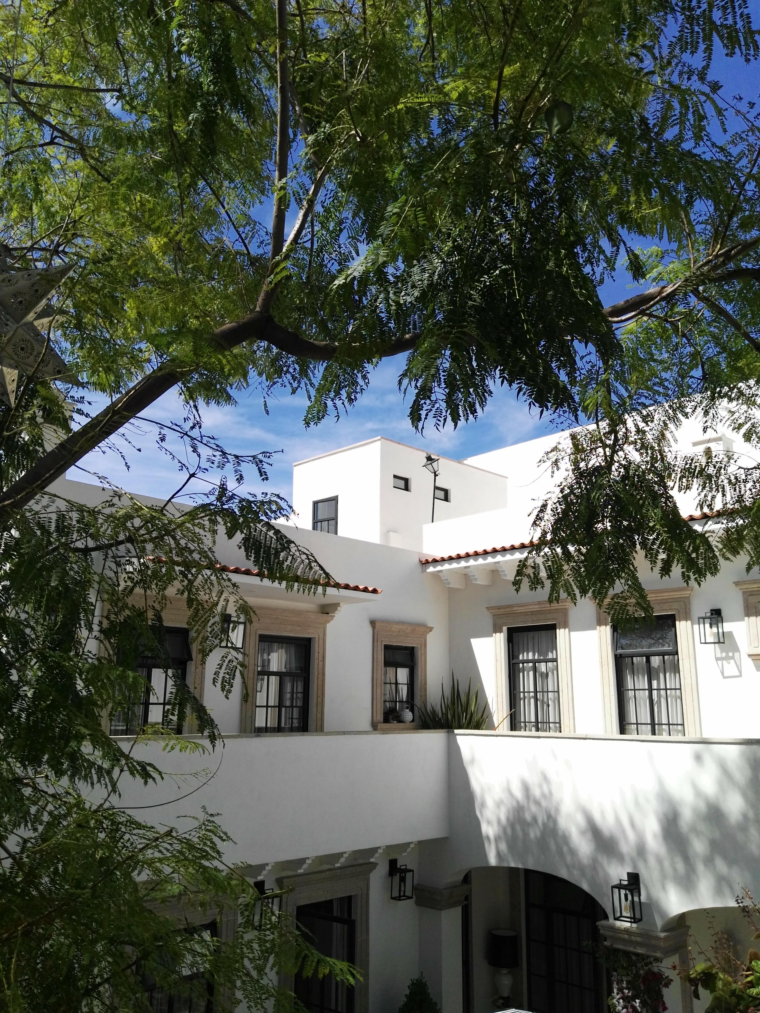 Casa Lani Luxury B&B San Miguel de Allende Eksteriør billede