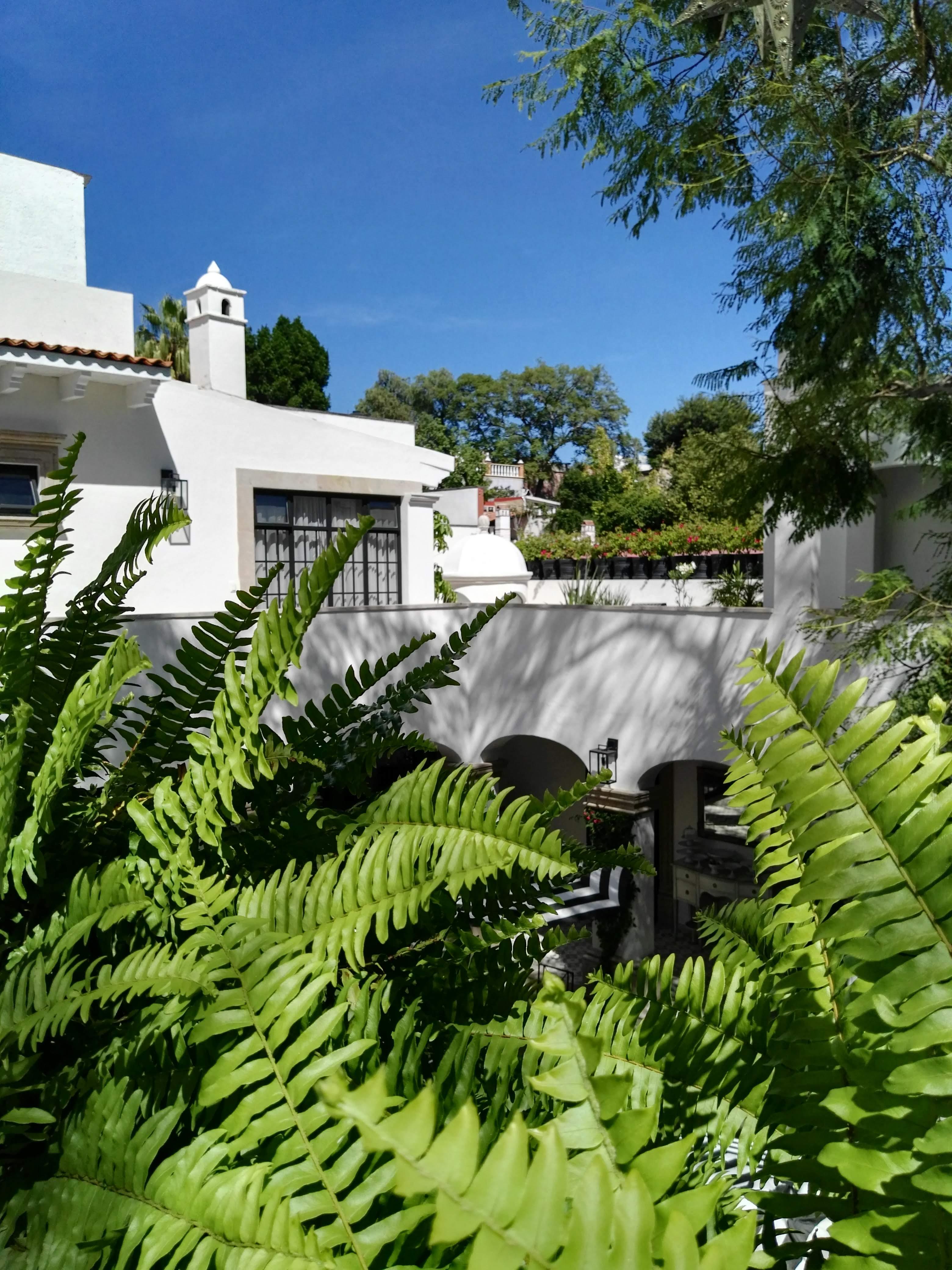 Casa Lani Luxury B&B San Miguel de Allende Eksteriør billede