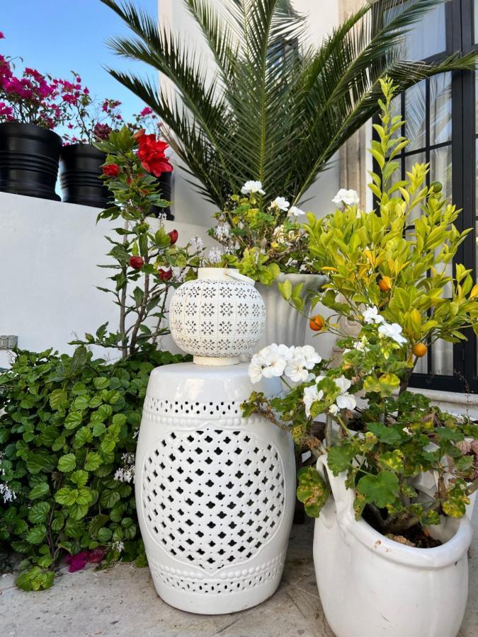 Casa Lani Luxury B&B San Miguel de Allende Eksteriør billede