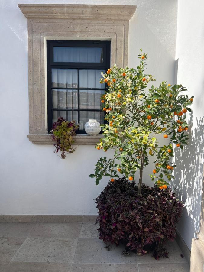 Casa Lani Luxury B&B San Miguel de Allende Eksteriør billede